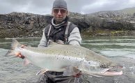 Definitely not autumn! A freshly run 102 cm July salmon from river Jökla
