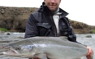 Perfect freshly run salmon on River Fitja