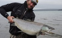 101x64 cm monster trout. Estimated weight, 35-40 pounds