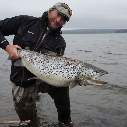 101 x 64 cm wild brown trout on a size 12 CDC Hopper