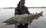 102 cm female from Laxa i Adaldal caught using the 7130 7X rod which is a great tool for the bigger rivers in Iceland.