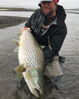 11 kg+ wild brown trout