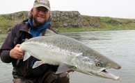 Early July in north Iceland means big salmon
