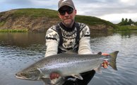 Not a monster but beautiful freshly run salmon from the pool Höfðahylur on Laxa i Aðaldal which took a Stormy Daniels fly.