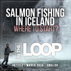 Salmon fishing in Iceland - where to start 