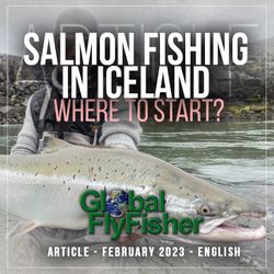 Salmon fishing in iceland - where to start 