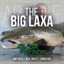 The Big Laxa 