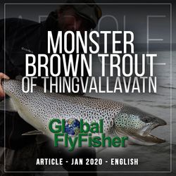 The Monster Trout Of Thingvallavatn