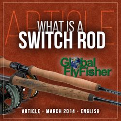 What is a switch rod?